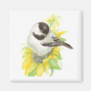 Íman Chickadee bonito, pássaro, girassol, jardim,