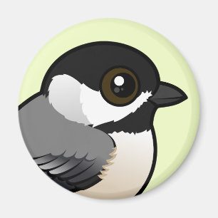 Íman Chickadee de Carolina