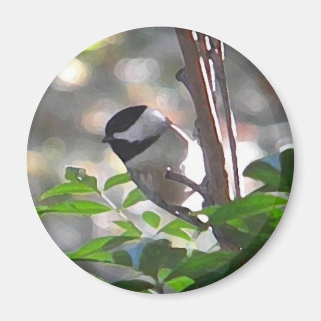Íman Chickadee Magnet (Frente)