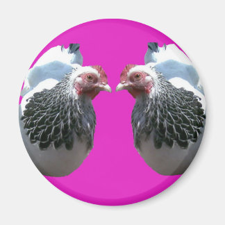 ÍMAN CHICKEN DUO EM MAGENTA