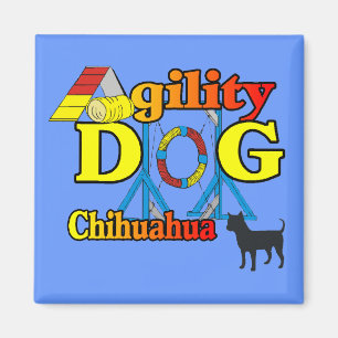 Íman Chihuahua_Agility