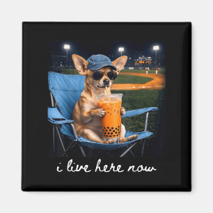 Íman Chihuahua bebe café gelado campo de beisebol ao vi