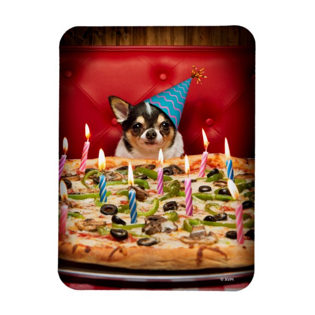 Íman Chihuahua Birthday Pizza Pie (Vertical)