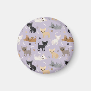 Íman Chihuahua Bones e patas roxas