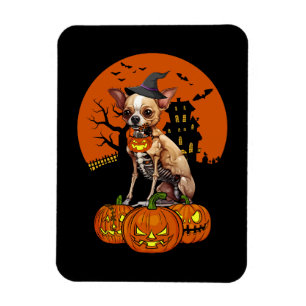 Íman Chihuahua Dog Halloween