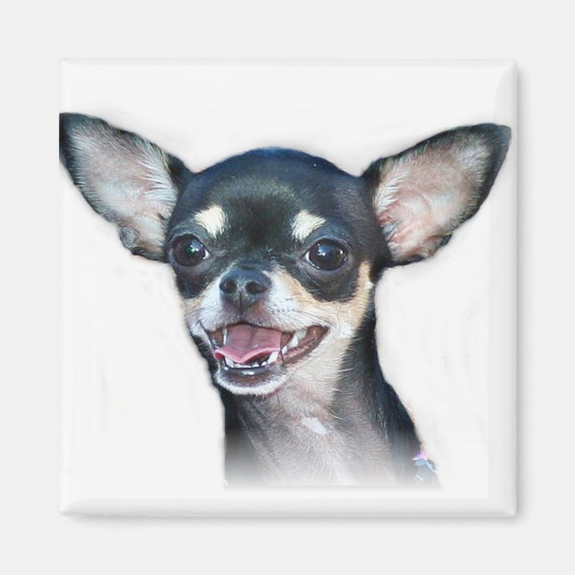 Íman Chihuahua dog Magnet (Frente)
