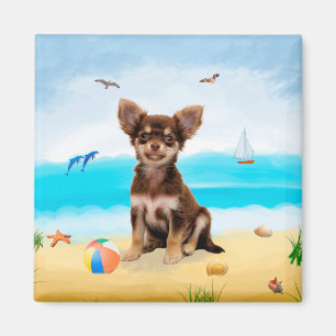 Íman Chihuahua Dog na praia