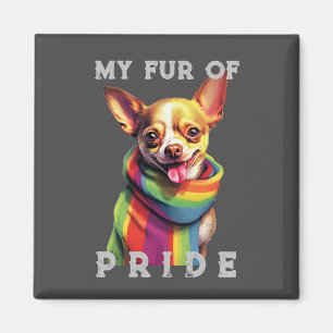 Íman Chihuahua Dog Rainbow Engraçado Meu Orgulho De Pel