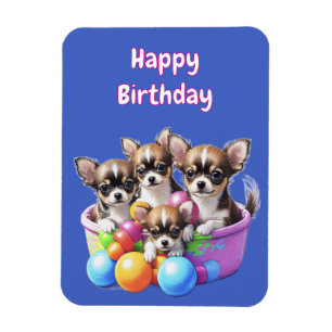 Íman Chihuahua filhotes engraçados