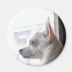 Íman Chihuahua Magnet