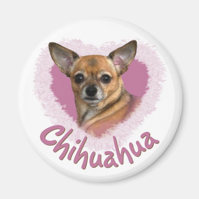 Íman Chihuahua Magnet (Frente)
