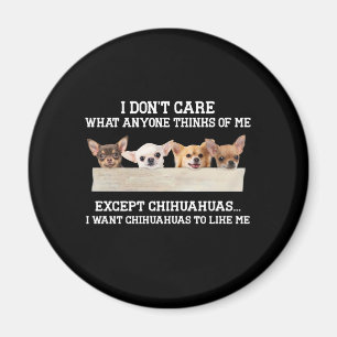 Íman Chihuahua Não me importo com o que pensam de mim