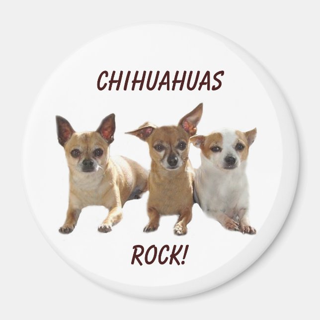 Íman Chihuahuas Rock Magnet (Frente)