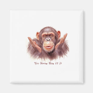 Íman Chimp Dizendo:"Você Sabe Como É"