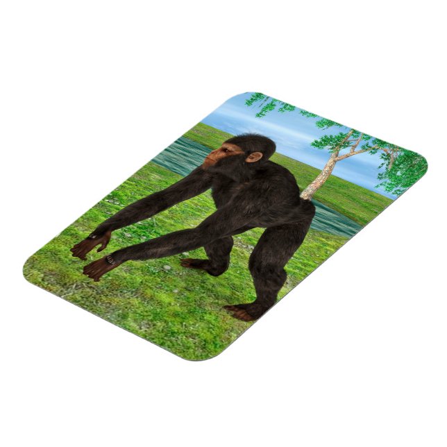 Íman Chimpanzé (Left Side)