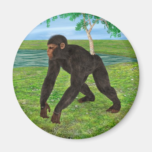 Íman Chimpanzé (Frente)
