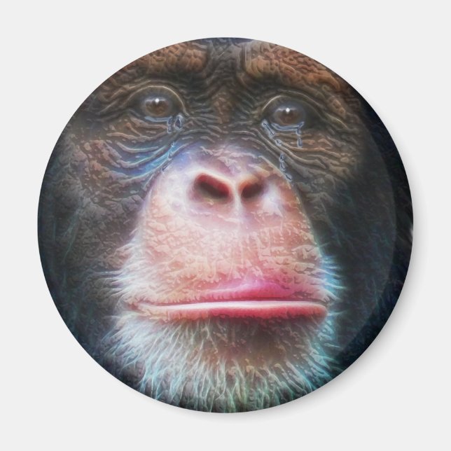 Íman CHIMPANZEE FACE Primate Willife Art Magnet (Frente)