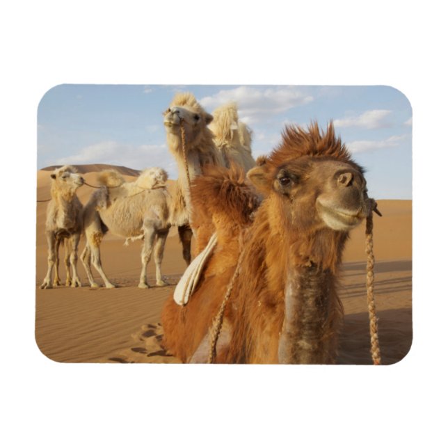 Íman China, Mongólia Interior, Deserto Badain Jaran 2 (Horizontal)