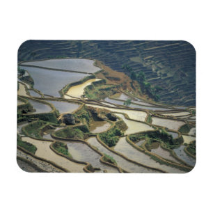 Íman China, Província de Yunnan. Terraços de arroz inun