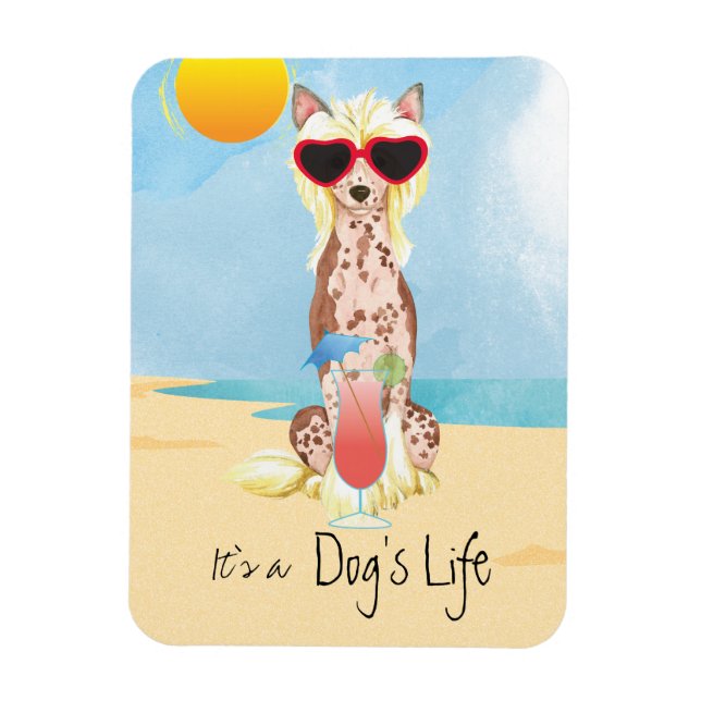 Íman Chinês de Verão (Vertical)