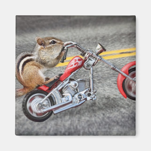 Íman Chipmunk Biker dirigindo uma moto (Frente)
