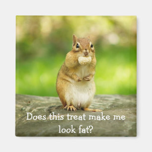 Íman Chipmunk com deleite