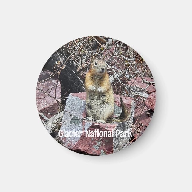 Íman Chipmunk no Parque Nacional Glacier (Frente)