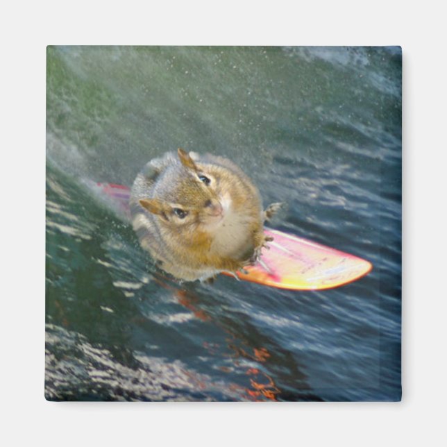 Íman Chipset de surf em forma de cuta (Frente)