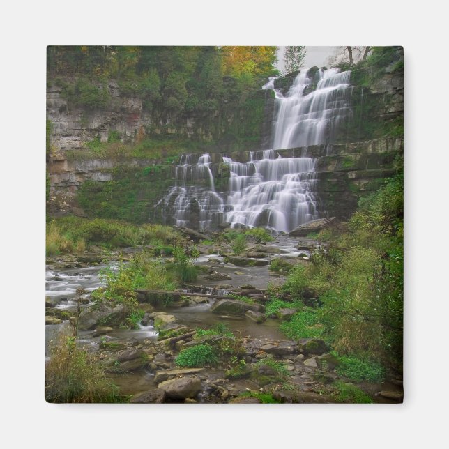 Íman Chittenango Falls (Frente)