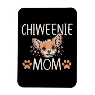 Íman chiweenie mãe chihuahua, linda dona de cachorro,