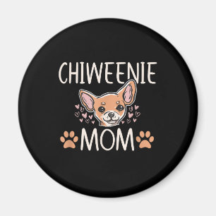 Íman chiweenie mãe chihuahua, linda dona de cachorro,