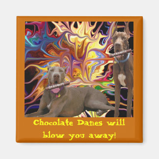 Íman Chocolate Dane Blast