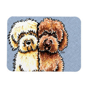 Íman Chocolate de creme Labradoodles