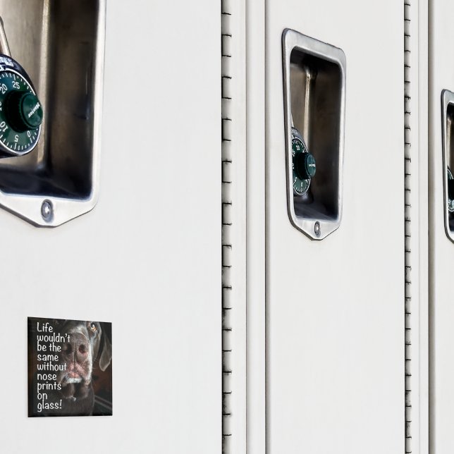 Íman Chocolate Lab Nose Fechar Fotografia (In Situ (Locker))