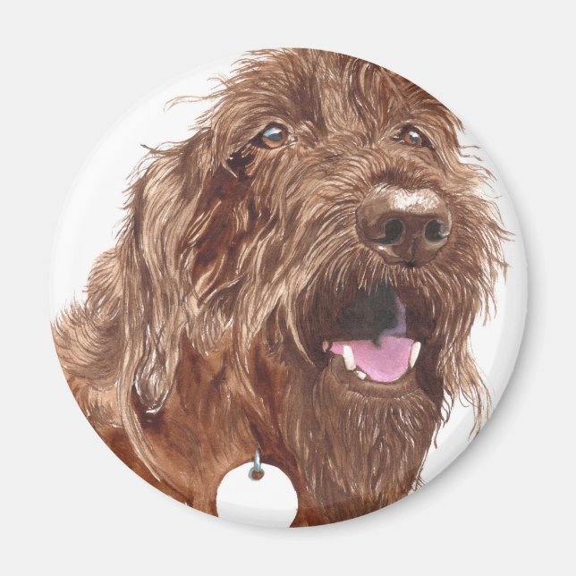 Íman Chocolate Labradoodle #1 Magnet (Frente)