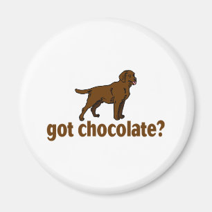 Íman Chocolate Labrador