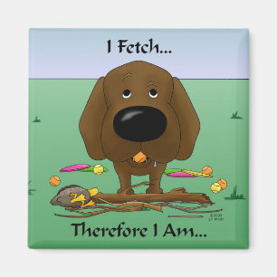 Íman Chocolate Labrador (laboratórios) - eu busco… o