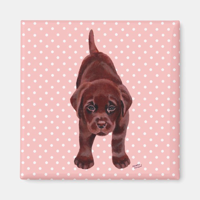 Íman Chocolate Labrador Puppy (Frente)