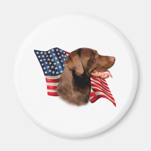 Íman Chocolate Labrador Retriever American Flag
