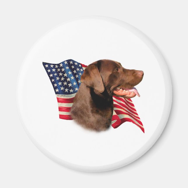 Íman Chocolate Labrador Retriever American Flag (Frente)