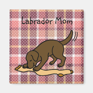Íman Chocolate Labrador Stocks