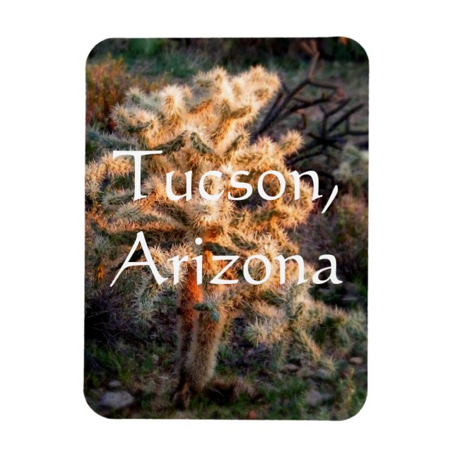 Íman Cholla Tucson brilhante, Arizona (Vertical)