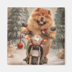 Íman Chow Chow Dog Andando na Moto Natal