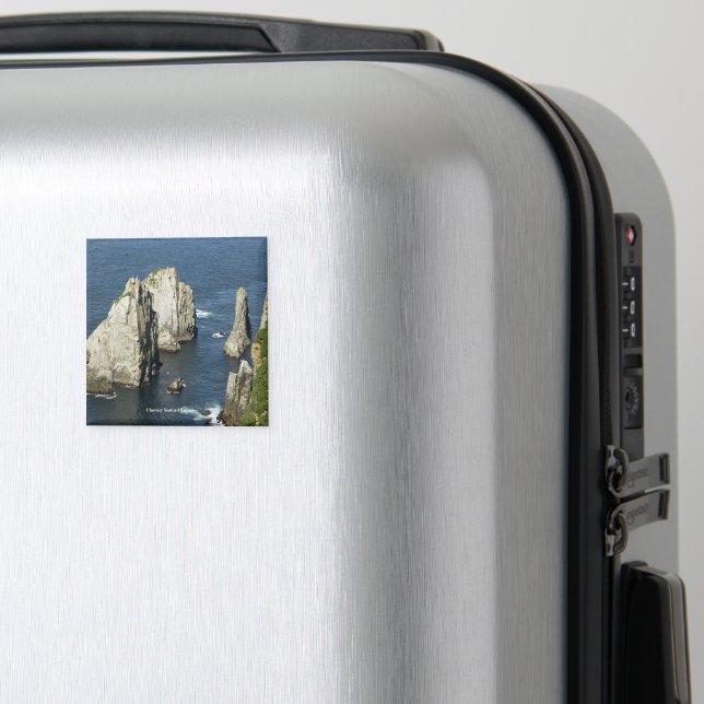 Íman Chowiet Seabird Colonies, Alasca (In Situ (Luggage))