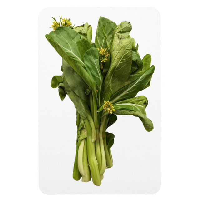 Íman Choy Sum Photo Magnet (Vertical)