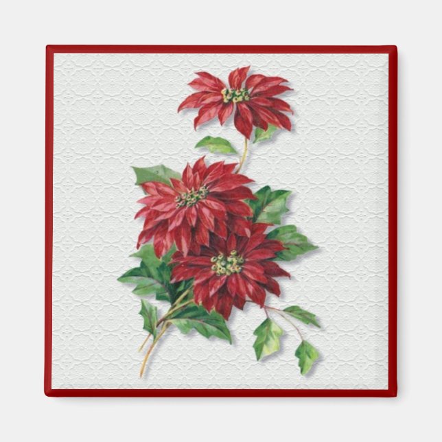 Íman Christmas Poinsettia (Frente)