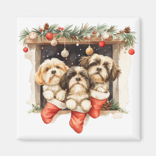 Íman Christmas Shih Tzu Dogs