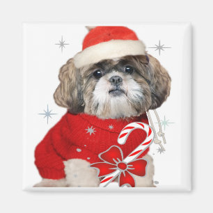 Íman Christmas Shih Tzu Magnets
