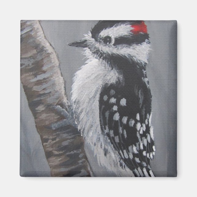 Íman Chubby Downy Woodpecker - Magnet (Frente)