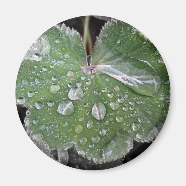 Íman chuva pesada (Frente)